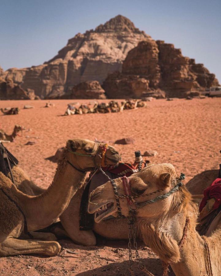 شقة Sun Luxury Camp &Tour وادي رم المظهر الخارجي الصورة